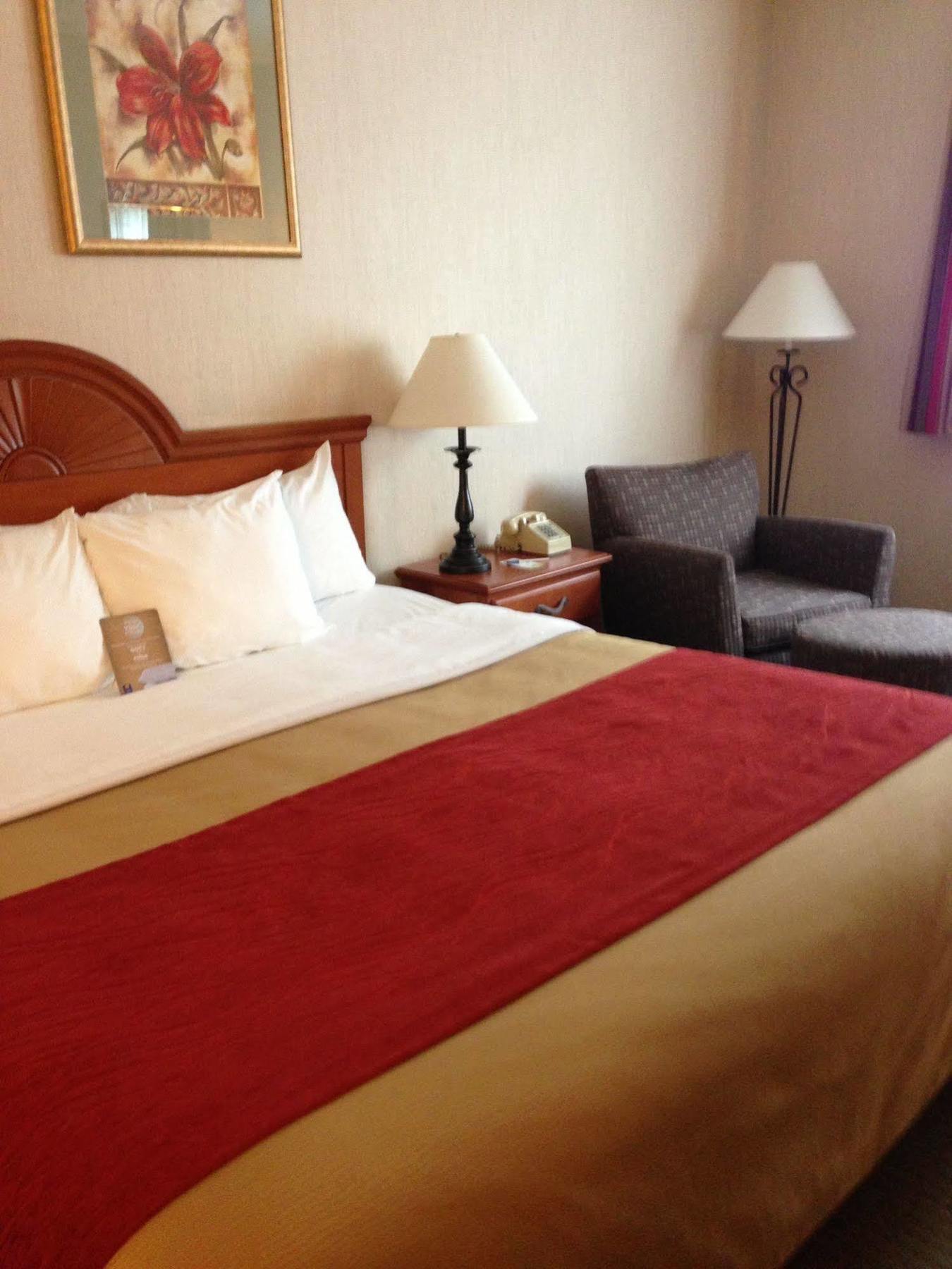 Comfort Inn Ellsworth - Bar Harbor מראה חיצוני תמונה